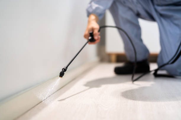 Licensed Rodent Control service in Armona, CA - Nex Pest Control