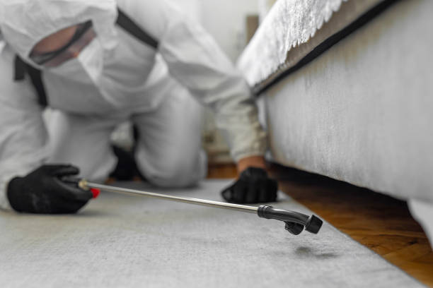 Professional Rodent Control technician working in Armona, CA