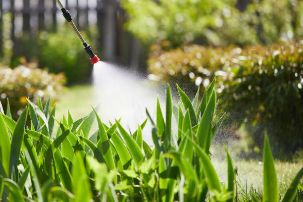 24/7 Emergency Rodent Control experts in Armona, CA