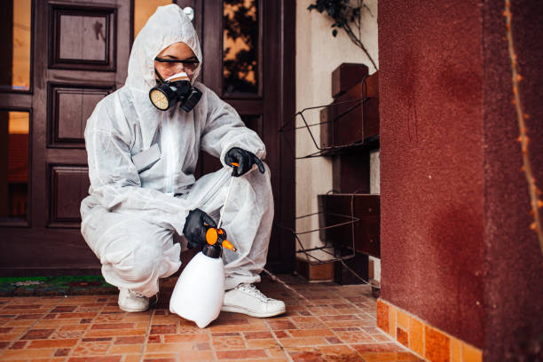 Reliable Rodent Control contractor in Armona, CA by Nex Pest Control